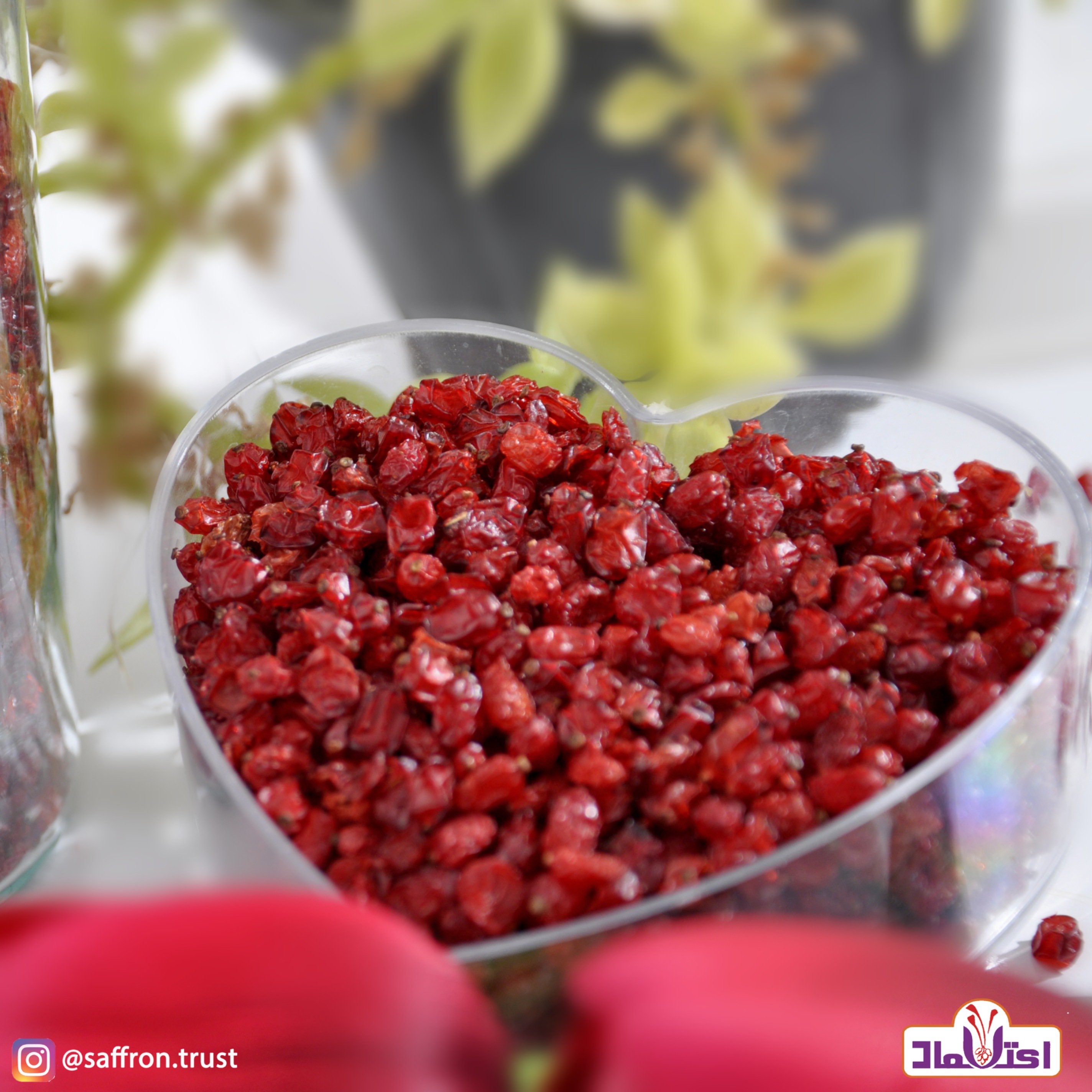 زرشک پفکی اعلا امسالی 500 گرمی رنگ روشن دانه درشت(تخفیف)