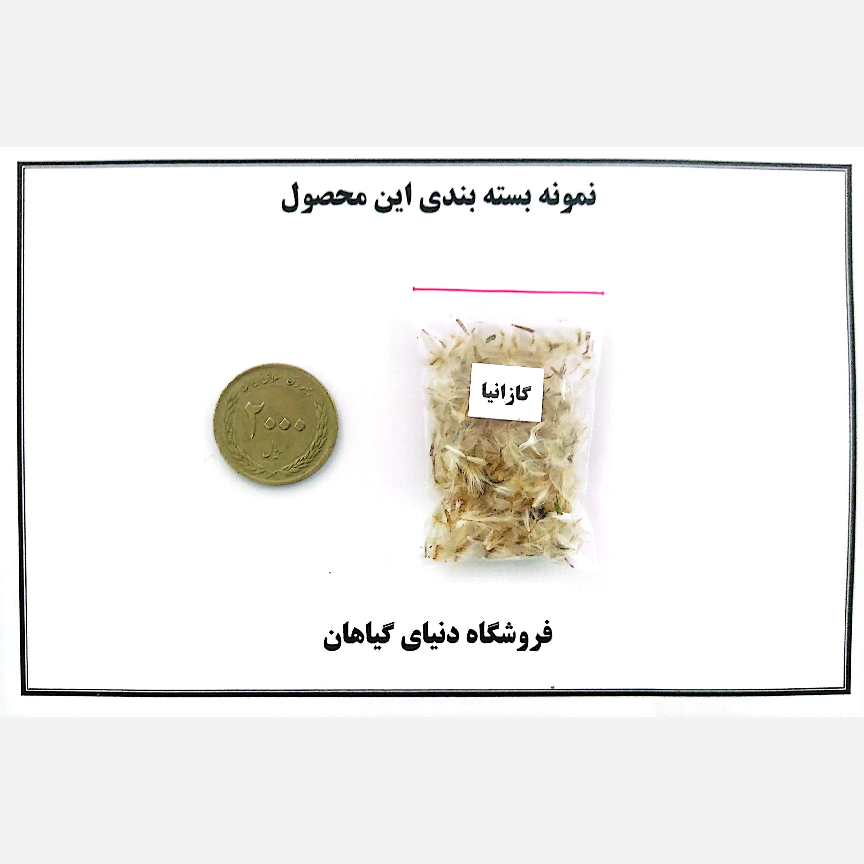 بذر گازانیا الوان (10 عددی)