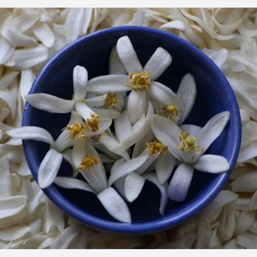 یک کیلو عسل بهارنارنج مازندران 1404 کاملا طبیعی و محلی و خوش عطر و طعم