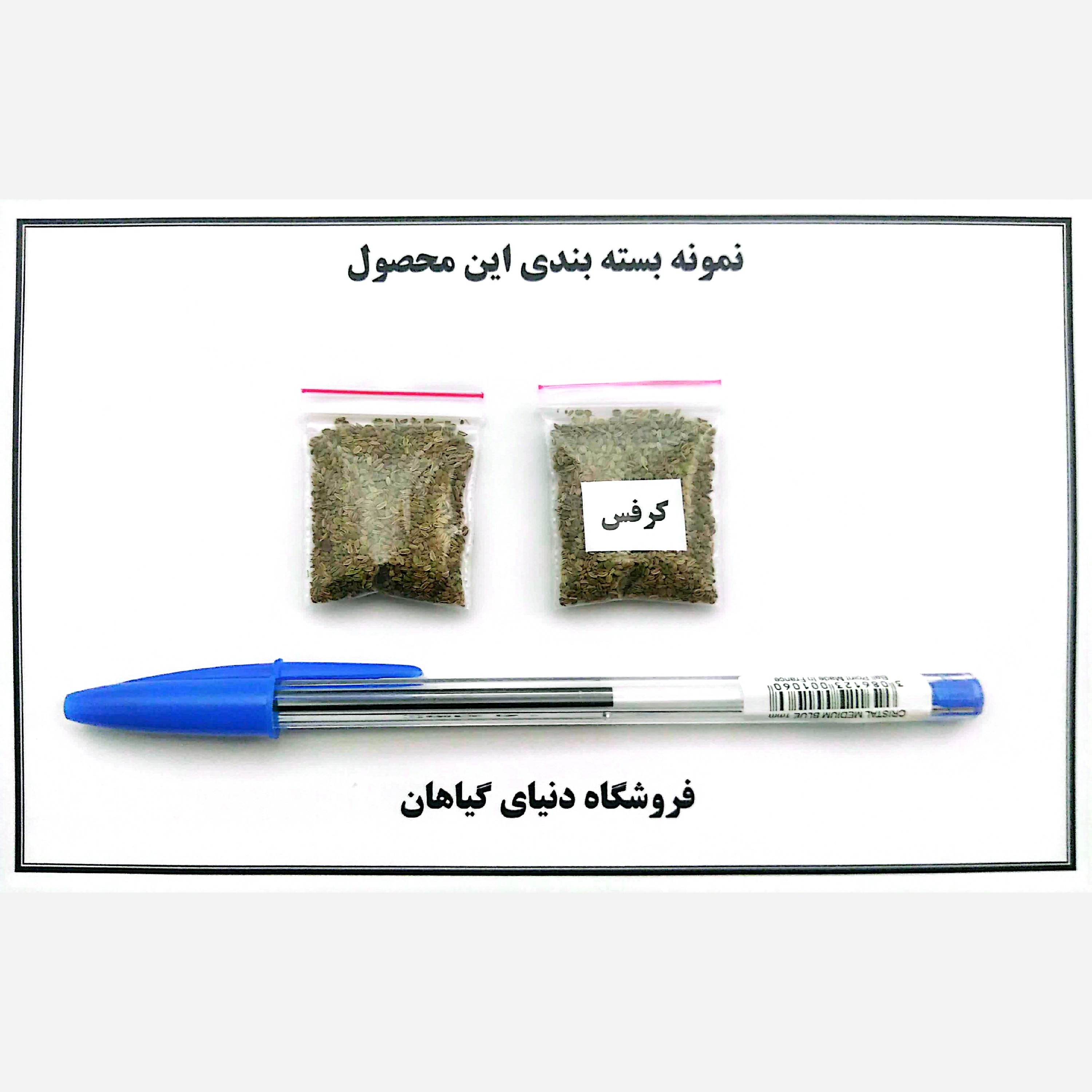 بذر کرفس(1000 عدد)