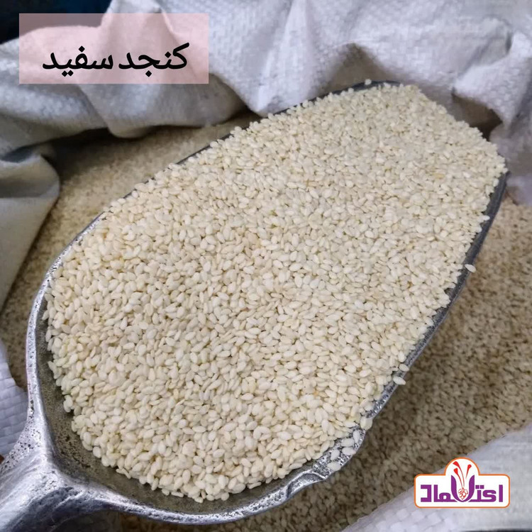 کنجد طلایی اعلا 500 گرمی اعتماد کاملا تمیز (کنجدطلایی)
