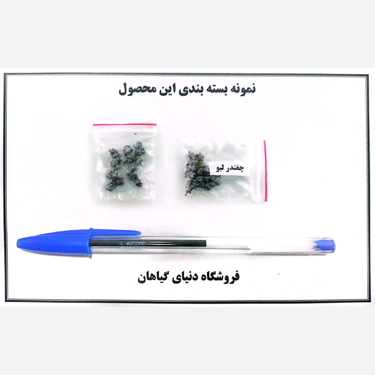 بذر چغندر لبو سرخ (10 عدد)