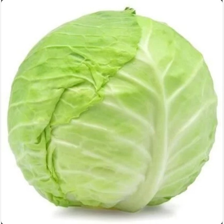 بذر کلم پیچ سفید(30 عددی)