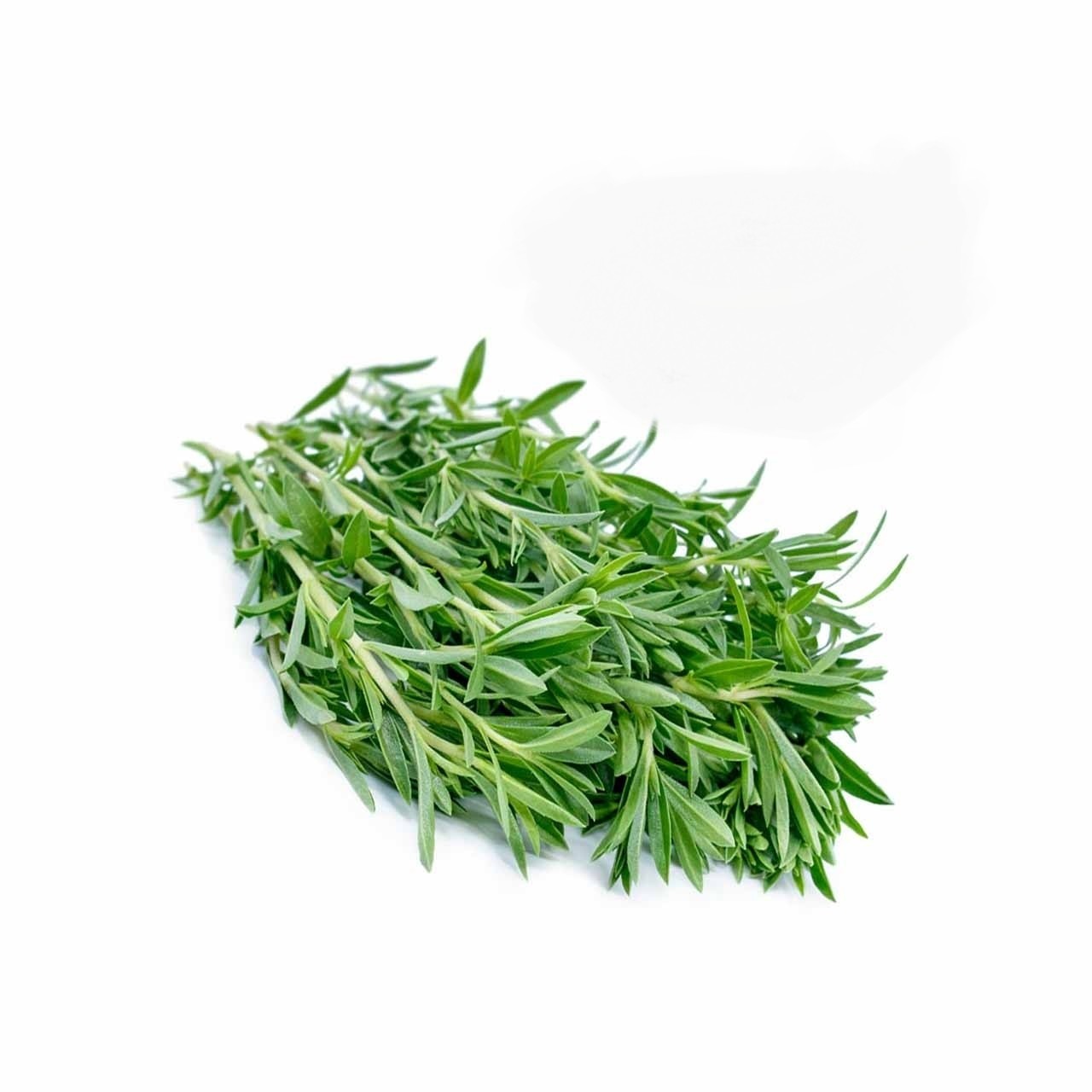 بذر مرزه (1000 عددی)