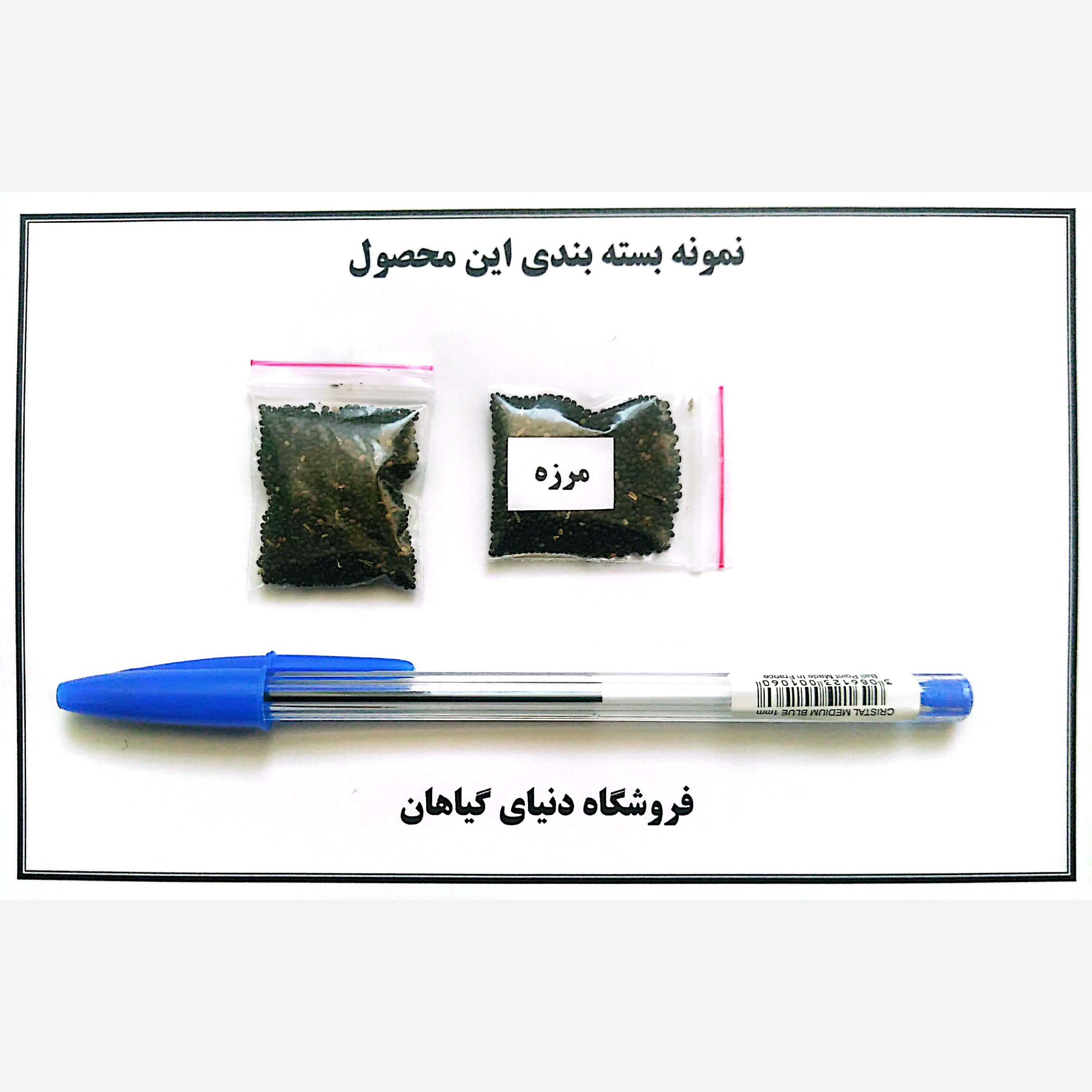 بذر مرزه (1000 عددی)