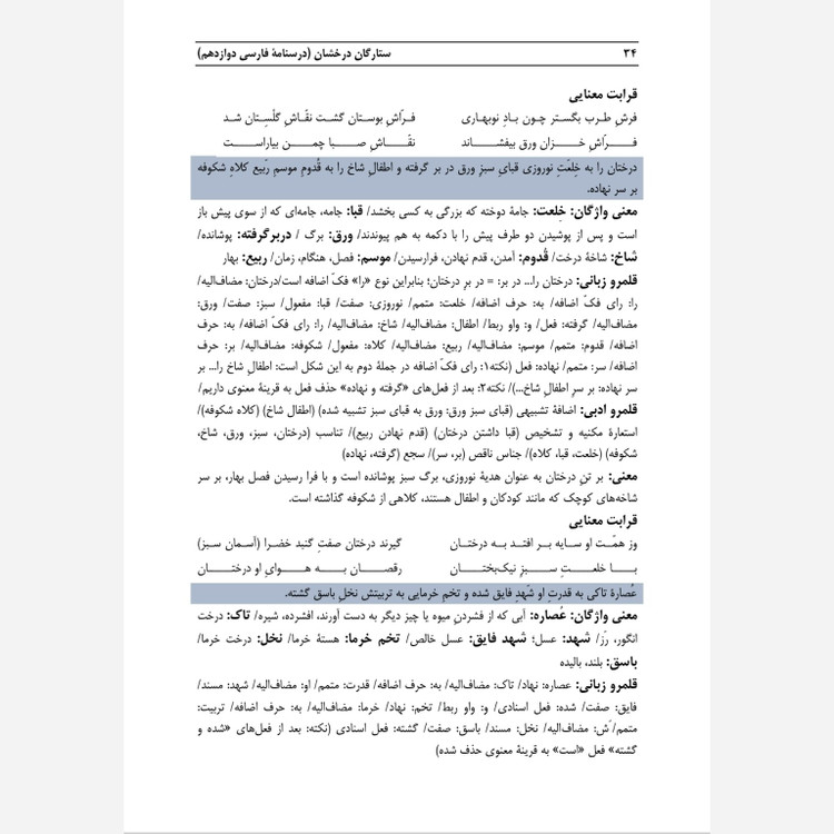 درسنامه فارسی ستارگان درخشان دوازدهم(همیار آزمون نهایی)