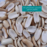 کره بادام زمینی آستانه (750 گرمی