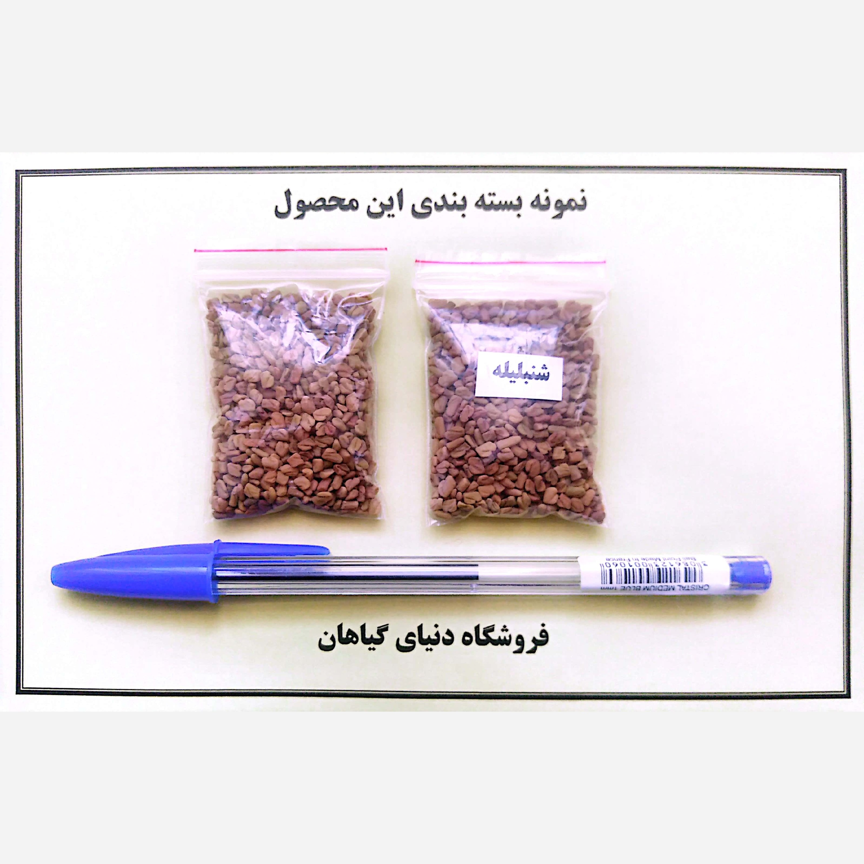 بذر شنبلیله(500 عدد)