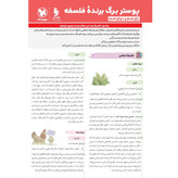 کتاب فلسفه و منطق جامع کنکور تست ALL IN ONE واقعا جامع کنکور 1406 مهر و ماه چاپ1405