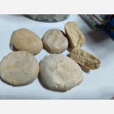 کشک گوسفندی درجه یک مناسب برای خالی خوری و داخل آش