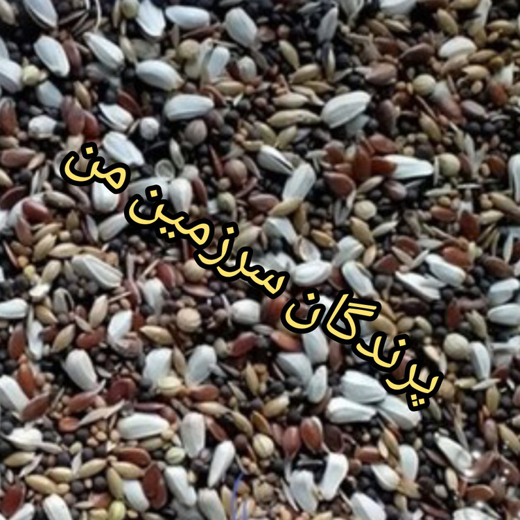 هفت تخم 500گرمی هانر میکس اسپانیا پرندگان