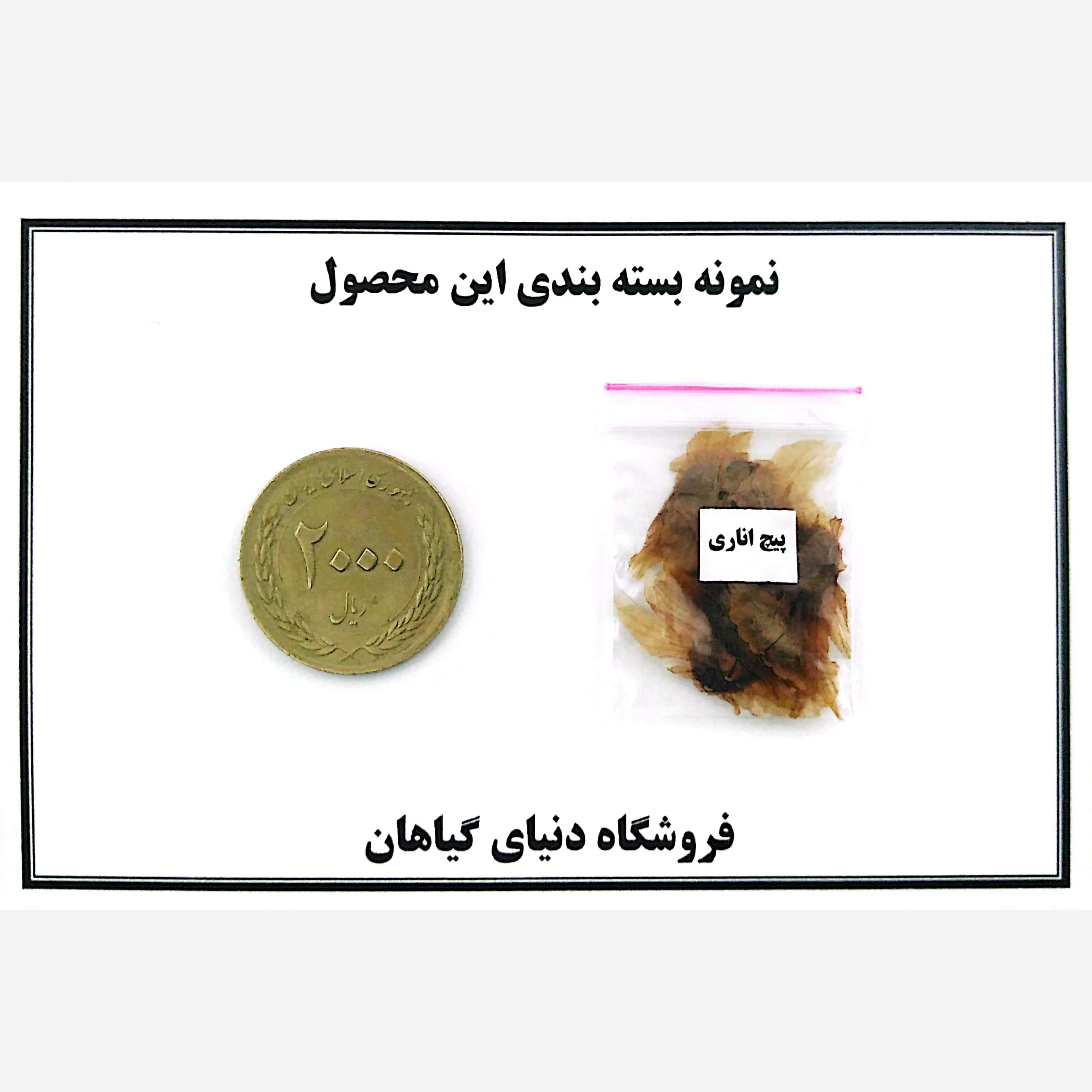 بذر پیچ اناری (10 عدد)