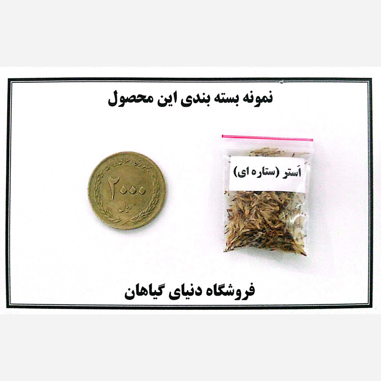بذر اَسِتِر یا ستاره ای(10 عددی)