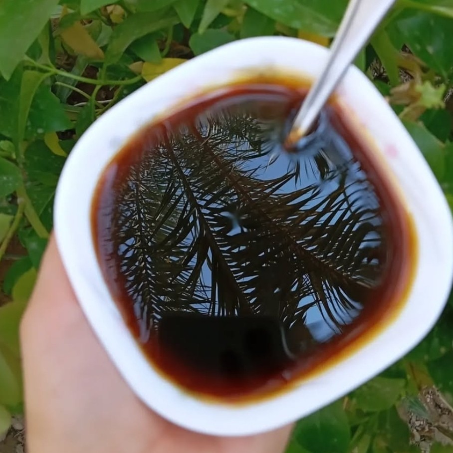 شیره خرمای سنتی درجه عالی 1000گرمی