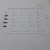 پیراهن مردانه ی کله غازی مجلسی و اداری آستین بلند