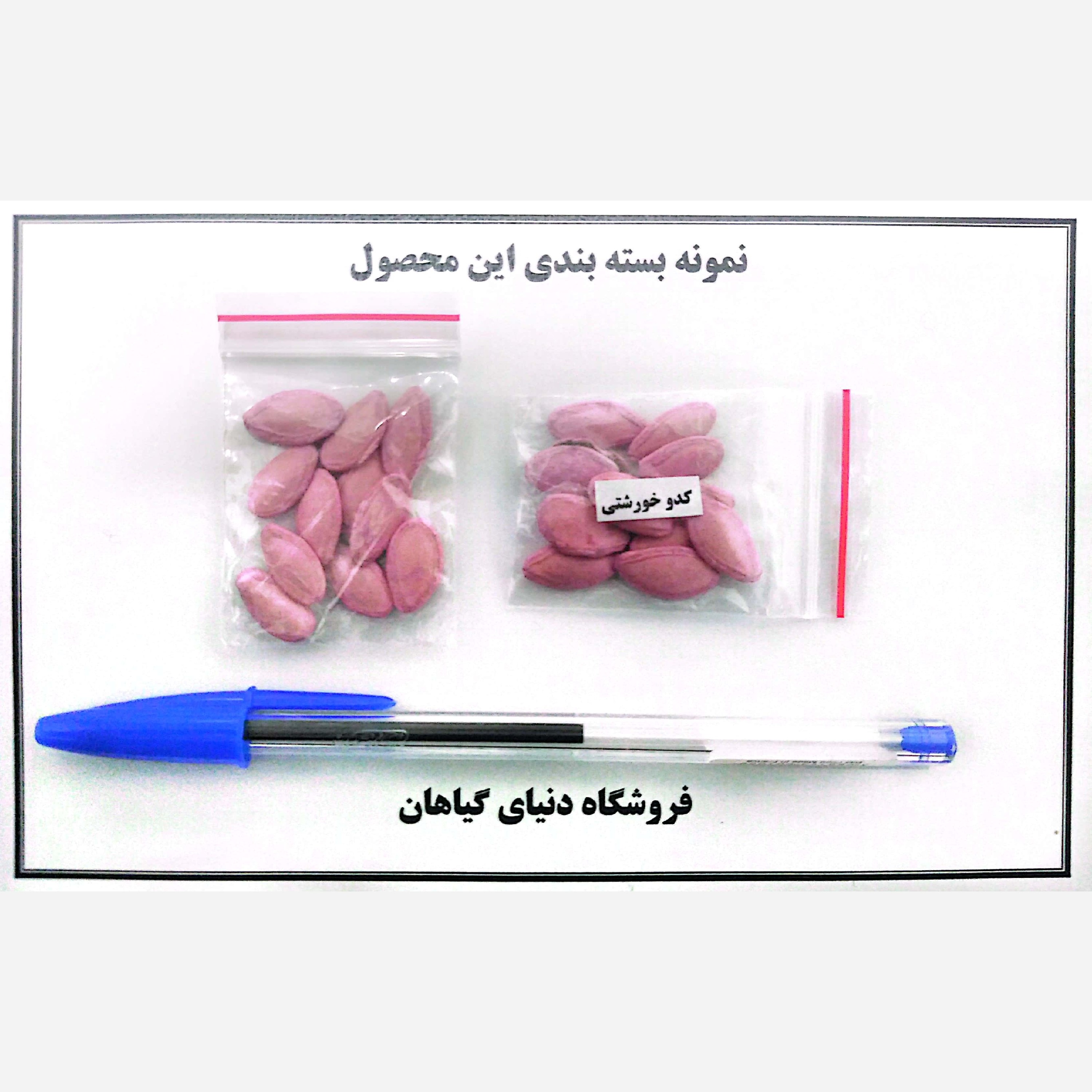 بذر کدو خورشتی (10 عدد)
