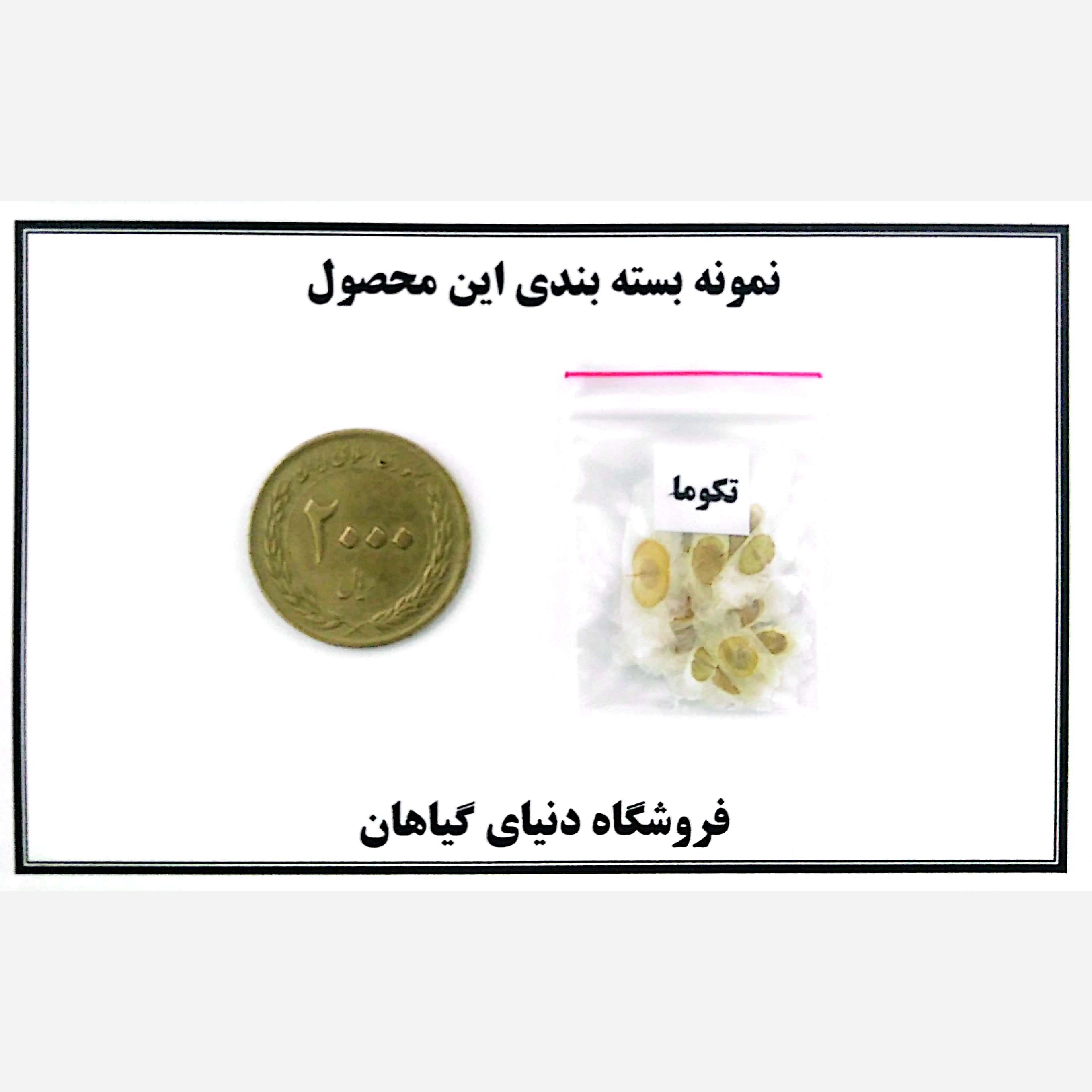 بذر تکوما ( 10 عدد)