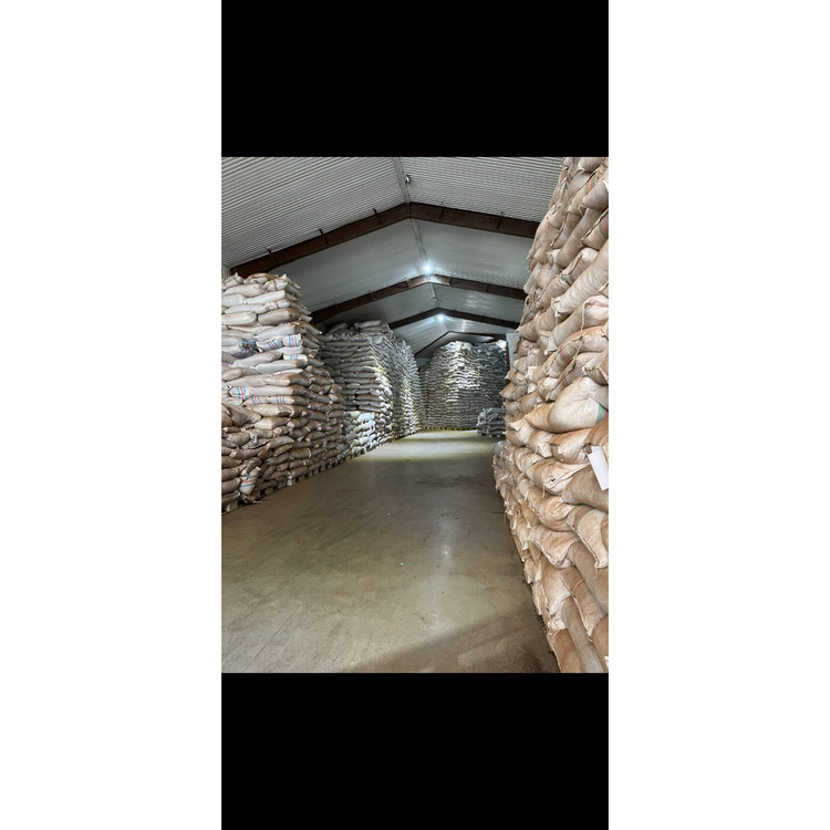 چای سیاه سرگل ممتاز زرین بهاره لاهیجان 1405 (1 کیلویی)