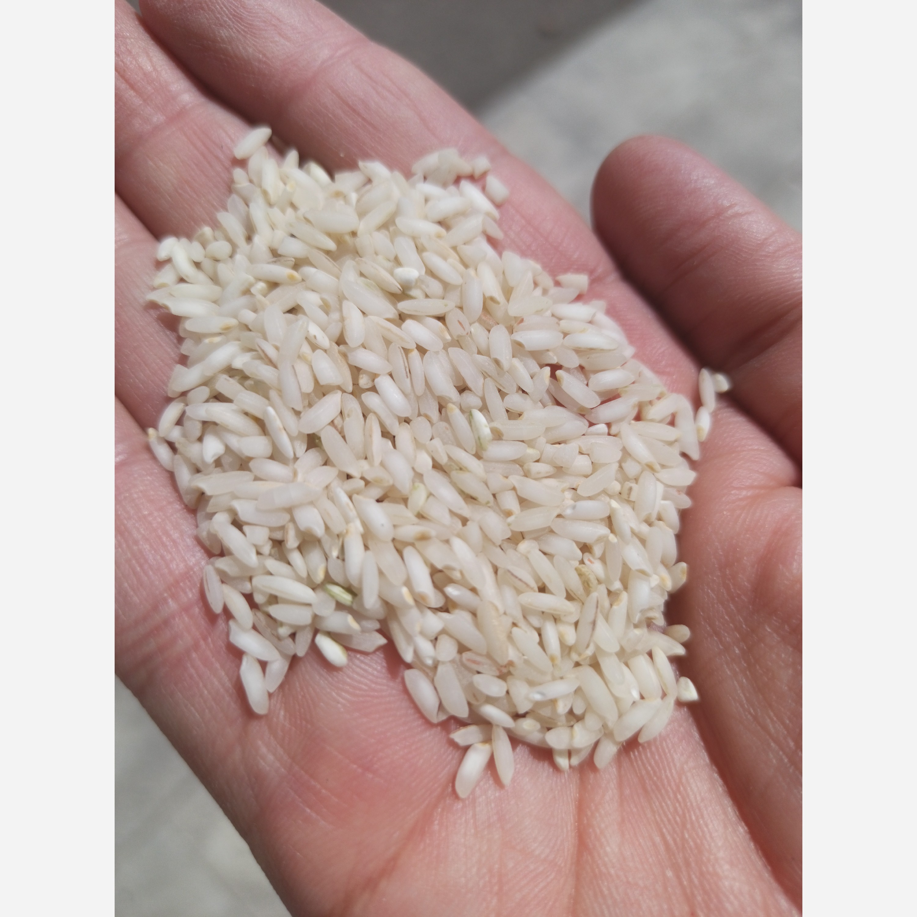 برنج عنبربو خوزستان درجه یک (10 کیلویی)
