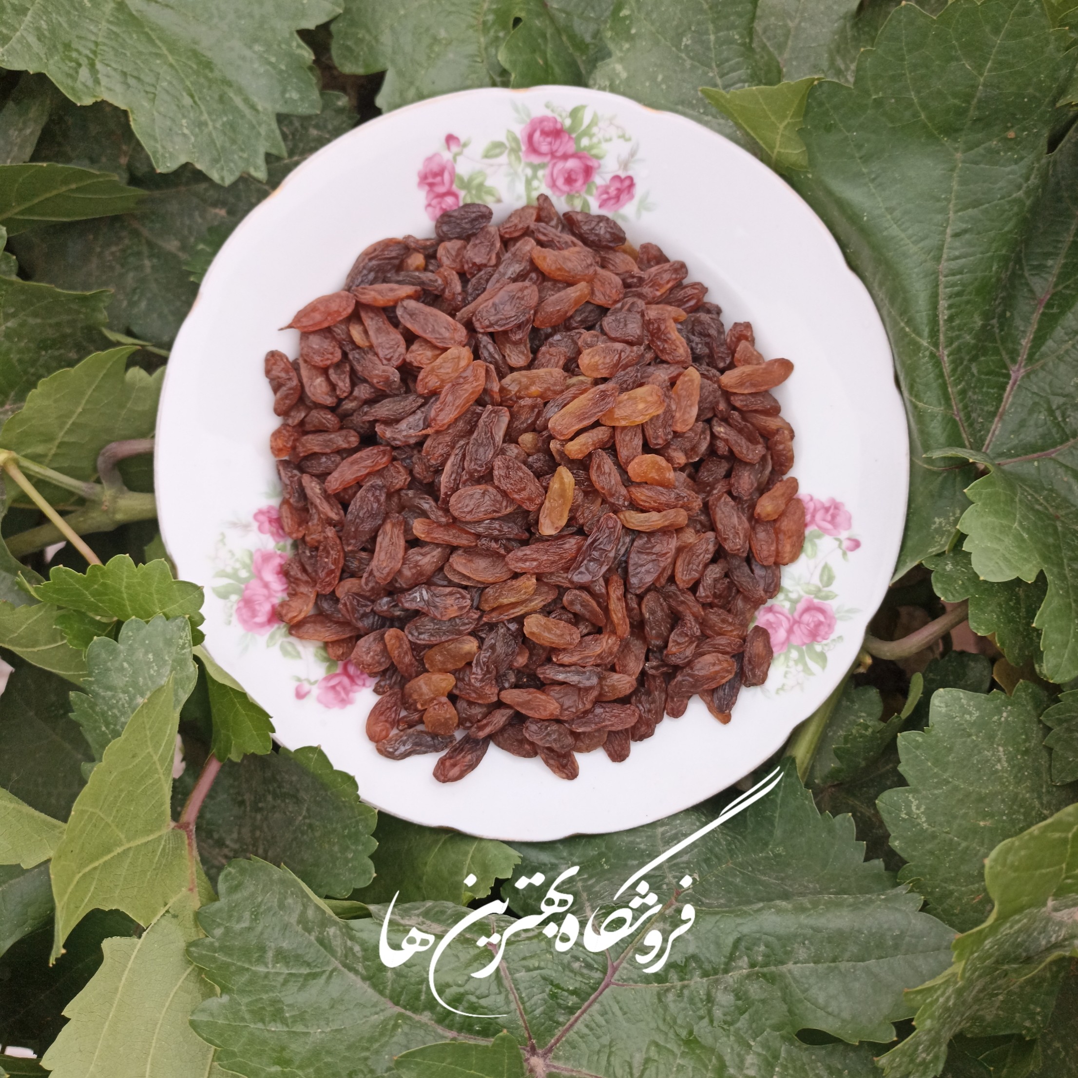 کشمش آفتابی 1000گرمی محصول 1405