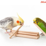 چوب اکالیپتوس برای عروس هلندی و طوطی ها - 5 عددی