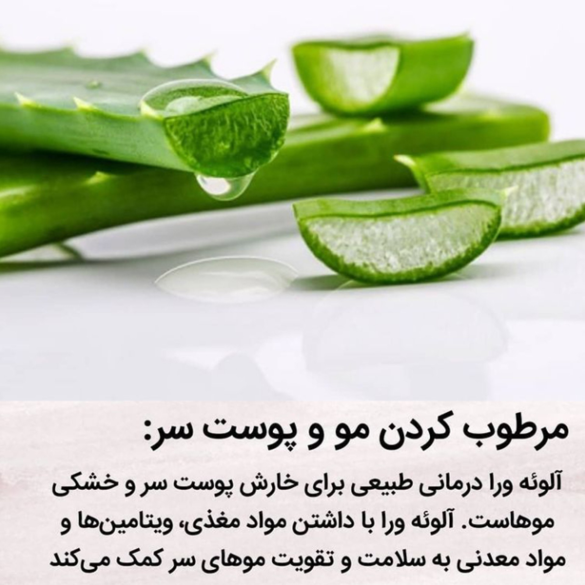 ژل الوئه ورا یک کیلویی(طبی) بدون اسانس