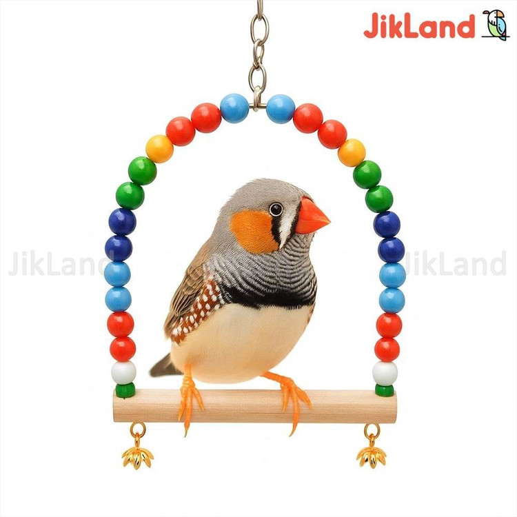 اسباب بازی تاب مهره دار چوبی قناری،فنچ، مرغ عشق سایز کوچک(کد11)