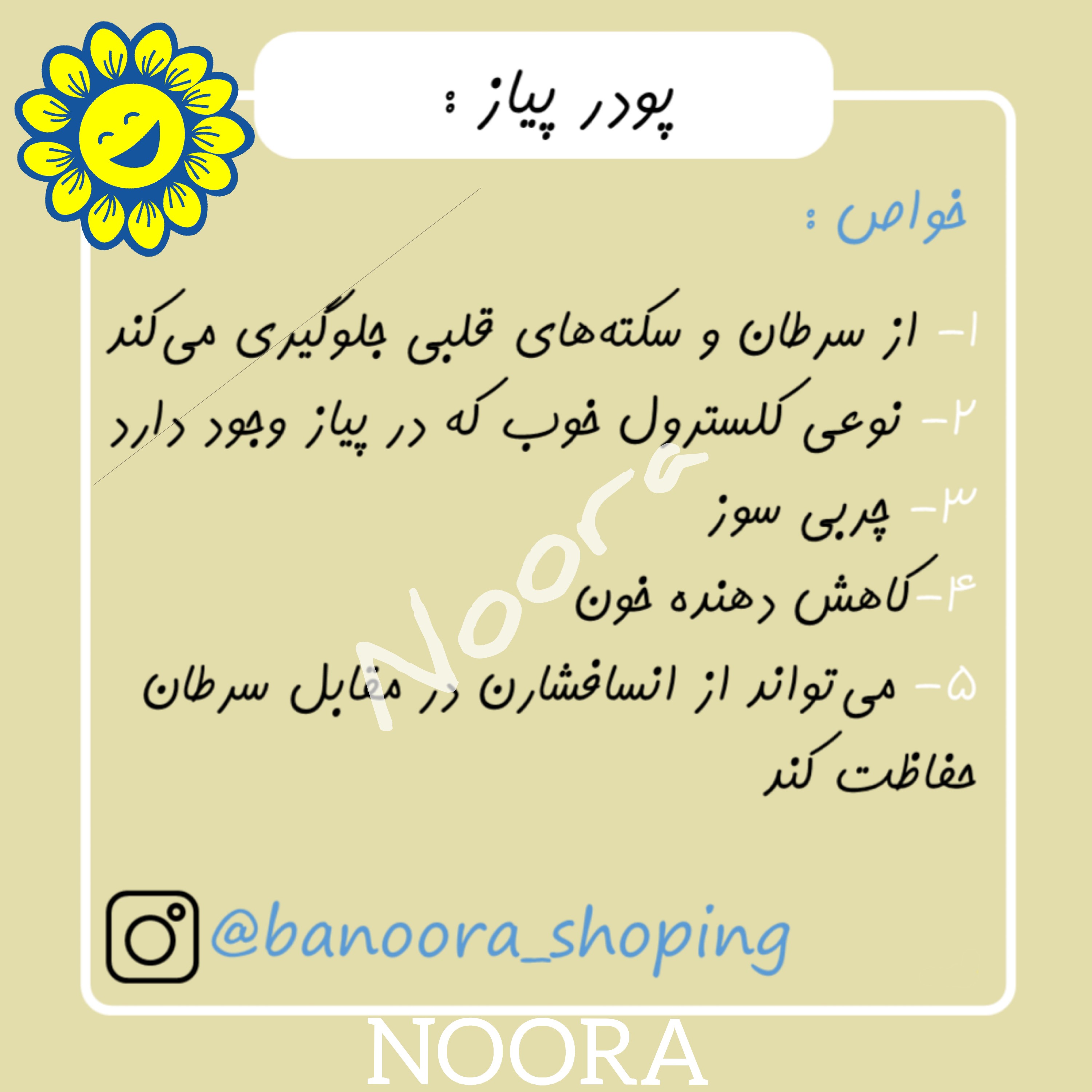 پودر پیاز نورا فود 100 گرمی