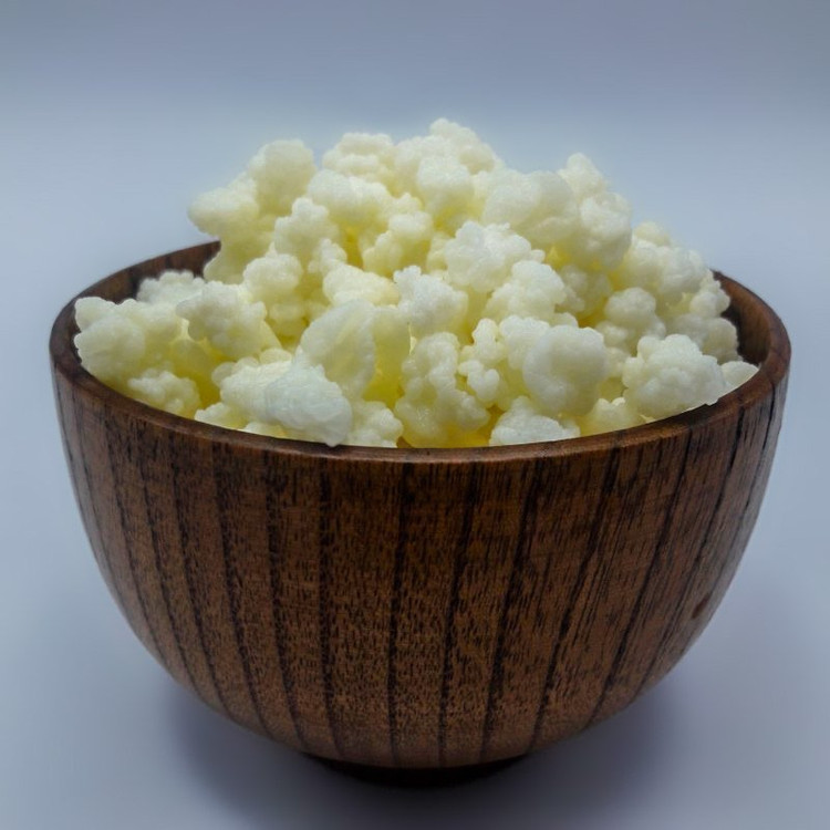 قارچ کفیر قفقازی فعال (50 گرمی) همراه یک بطری دوغ کفیر 300 میلی و مشاوره و آموزش رایگان کشک و ماست کفیر