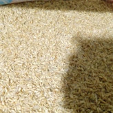 سمنو سنتی 1000 گرمی حاج عباس