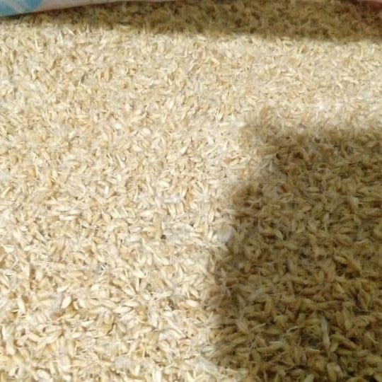 سمنو سنتی 1000 گرمی حاج عباس