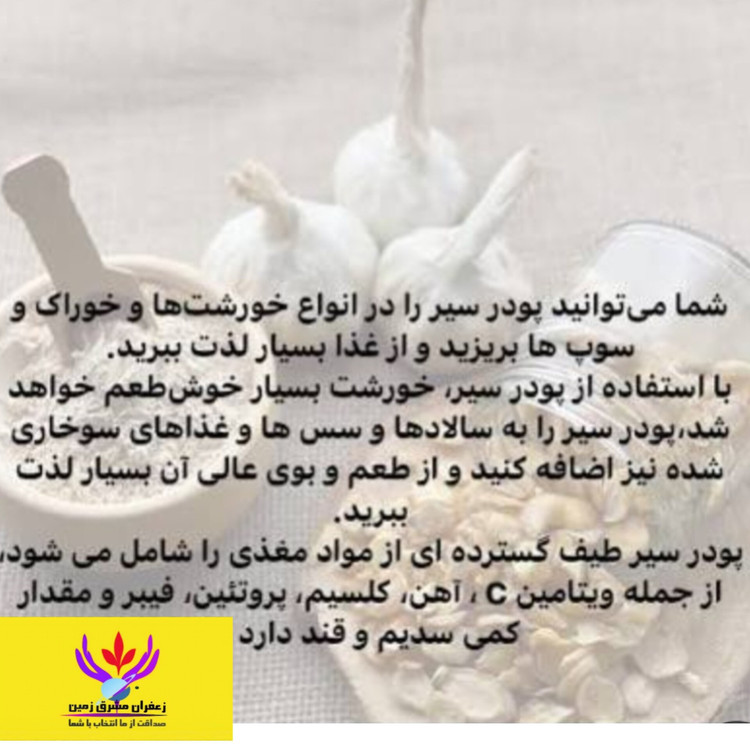 پودر سیر اعلا 100 گرمی برند مشرق زمین
