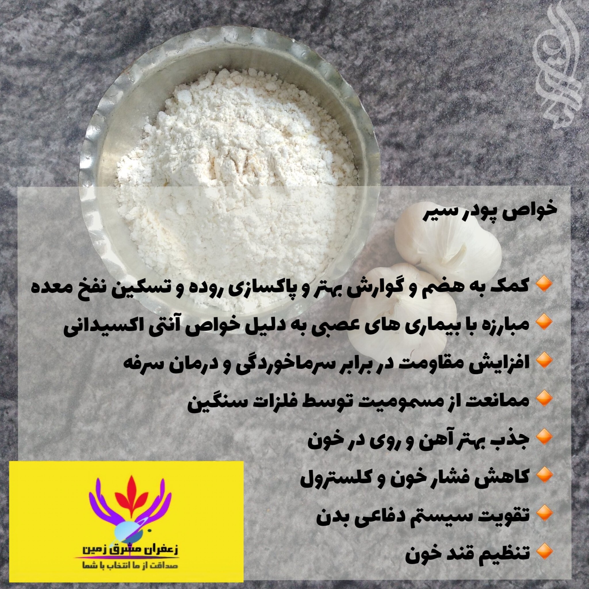 پودر سیر اعلا 100 گرمی برند مشرق زمین