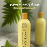 شامپو مورینگا اصل مخصوص انواع مو حجم 300 میل