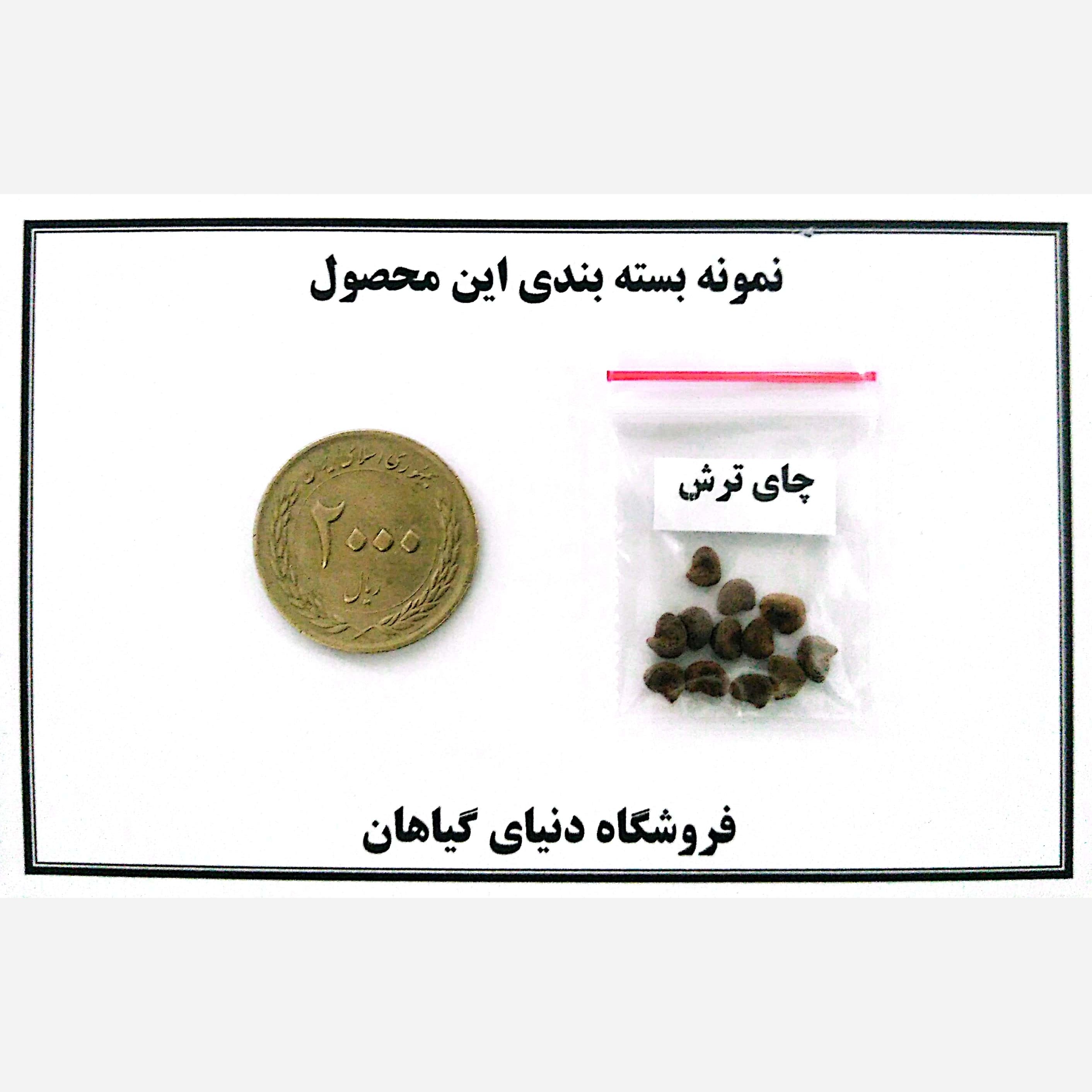 بذر چای ترش (10 عددی)