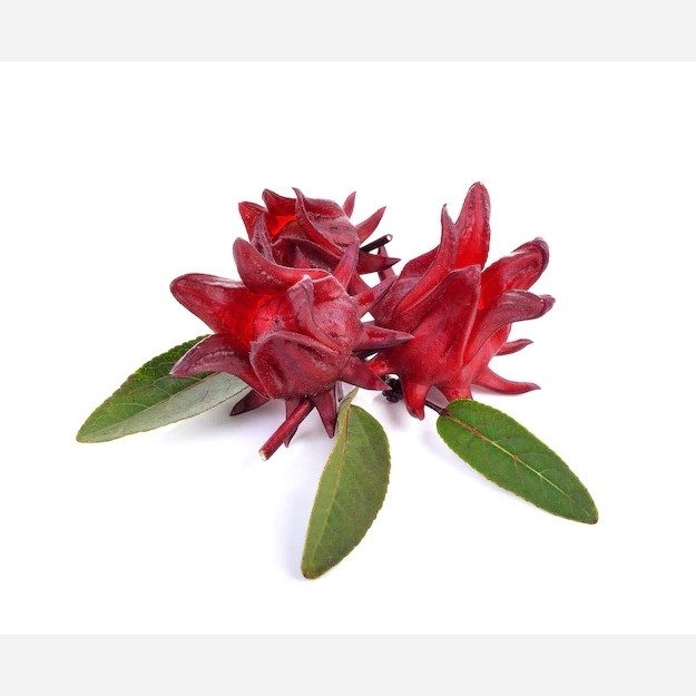 بذر چای ترش (10 عددی)