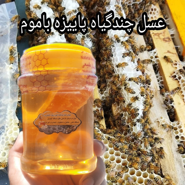 عسل چندگیاه پاییزه فریدن 1کیلویی باموم دشتی اصل(ارسال رایگان با خرید 2م از غرفه)