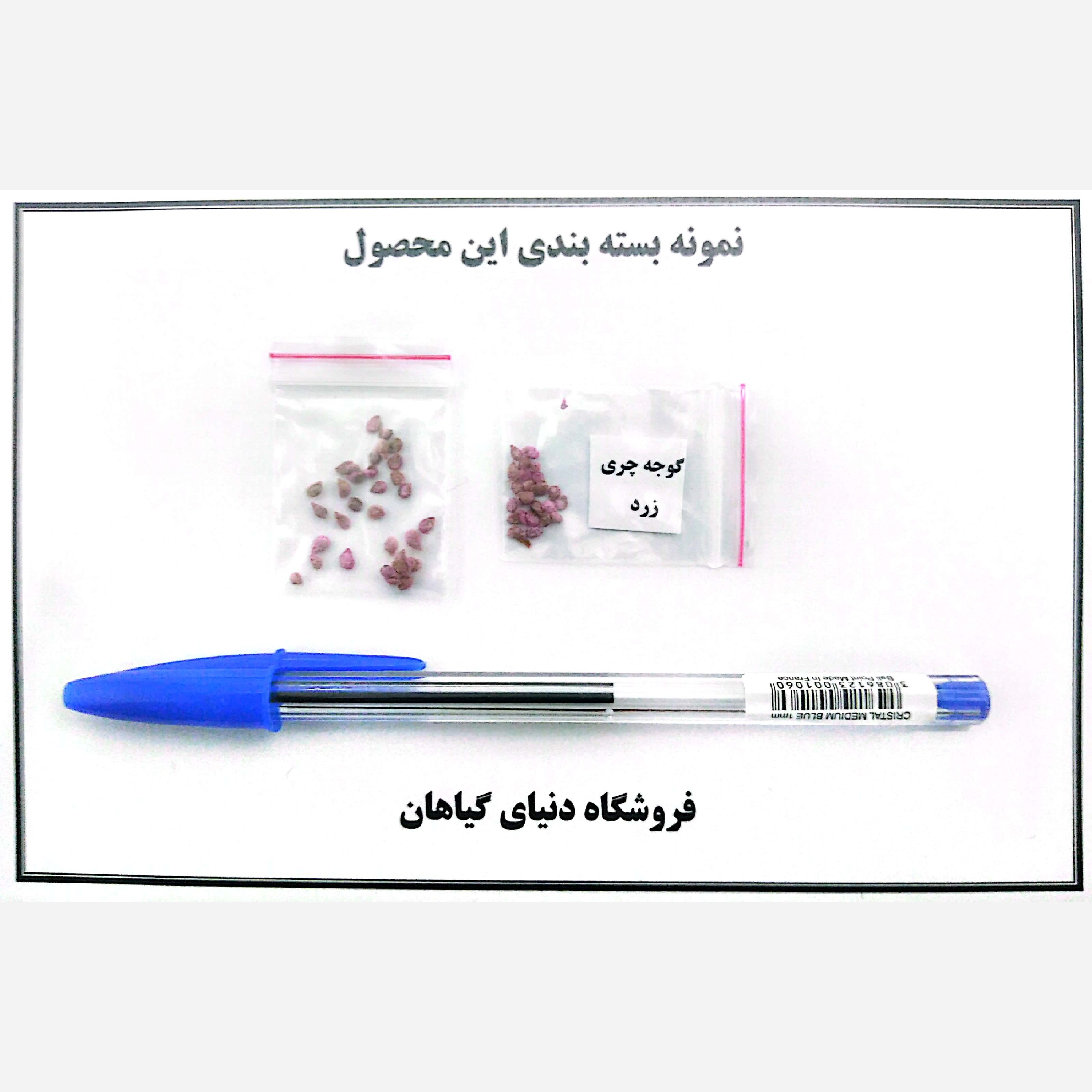 بذر گوجه گیلاسی(کد6)چری زرد(10 عددی)