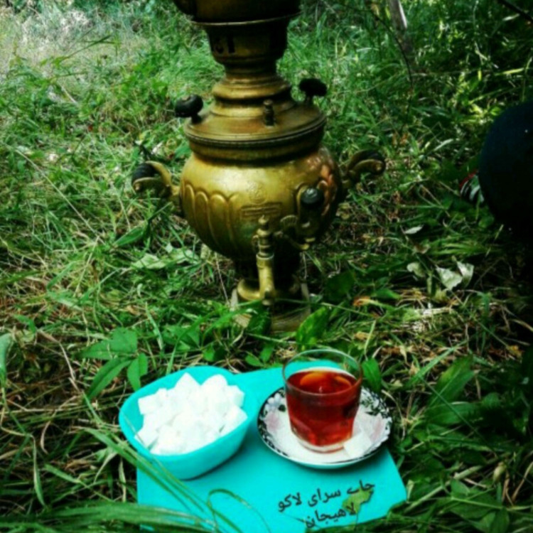 چای قلم ممتاز بهاره (1405) لاهیجان بسیار خوش عطر و خوش طعم (1000 گرمی) محصول 1405