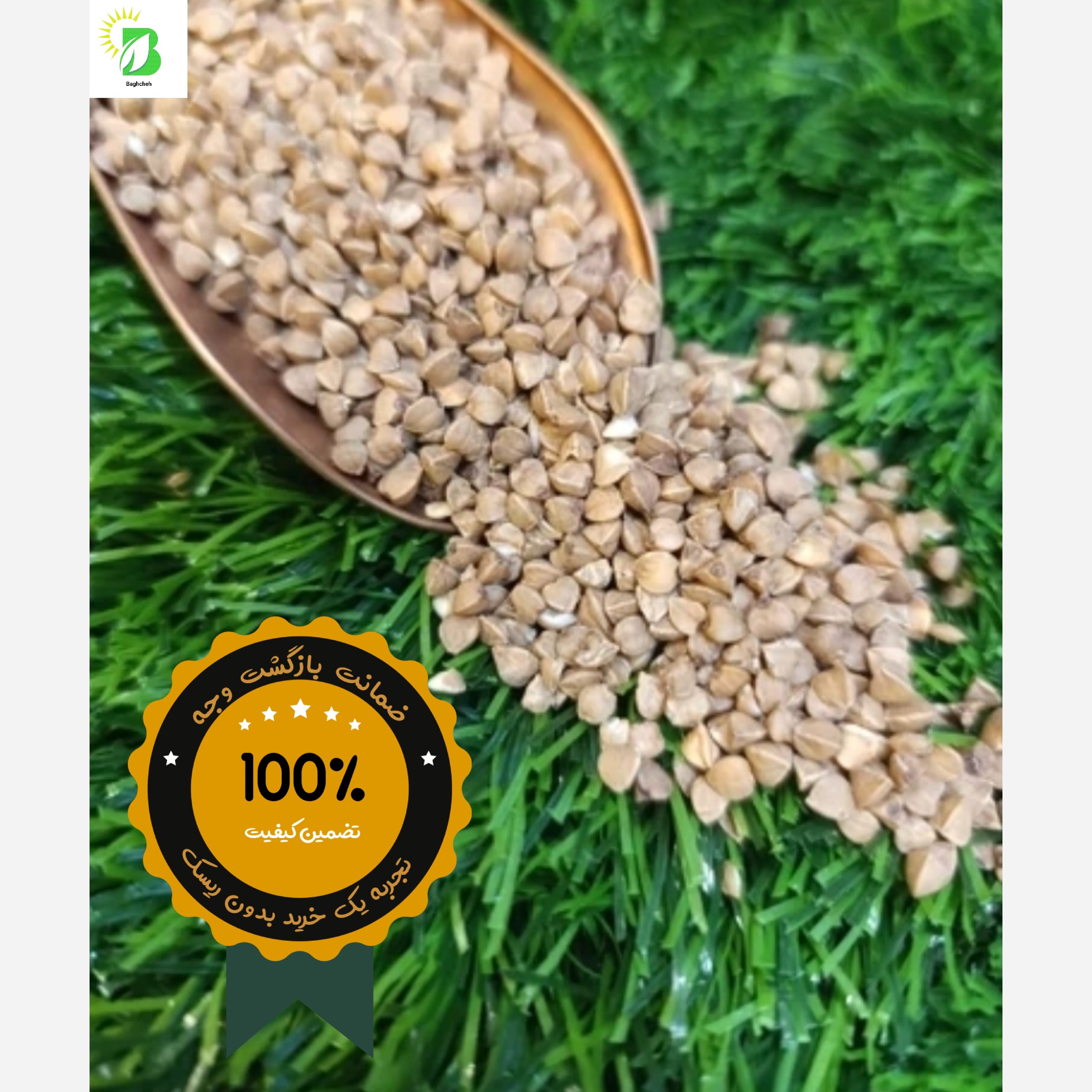 گندم سیاه (گرچکا یا باکویت) اصل روسیه 1 کیلویی / بدون گلوتن / مناسب رژیم و ورزش