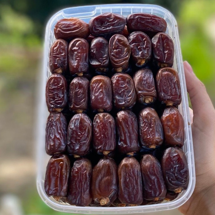 خرما کلوته نوبر برداشت مرداد 405 ارسال سریع