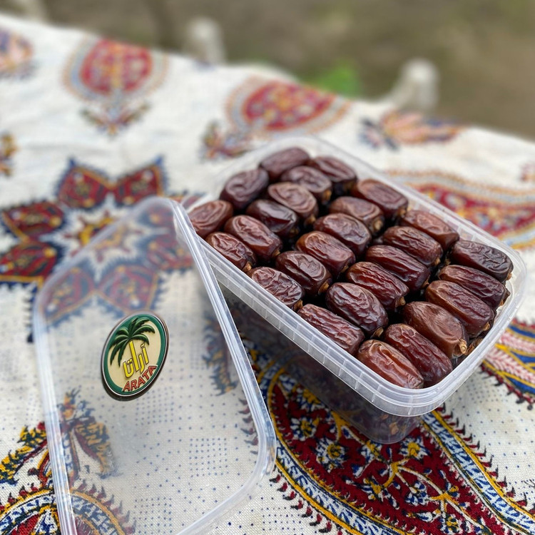 خرما کلوته نوبر برداشت مرداد 405 ارسال سریع
