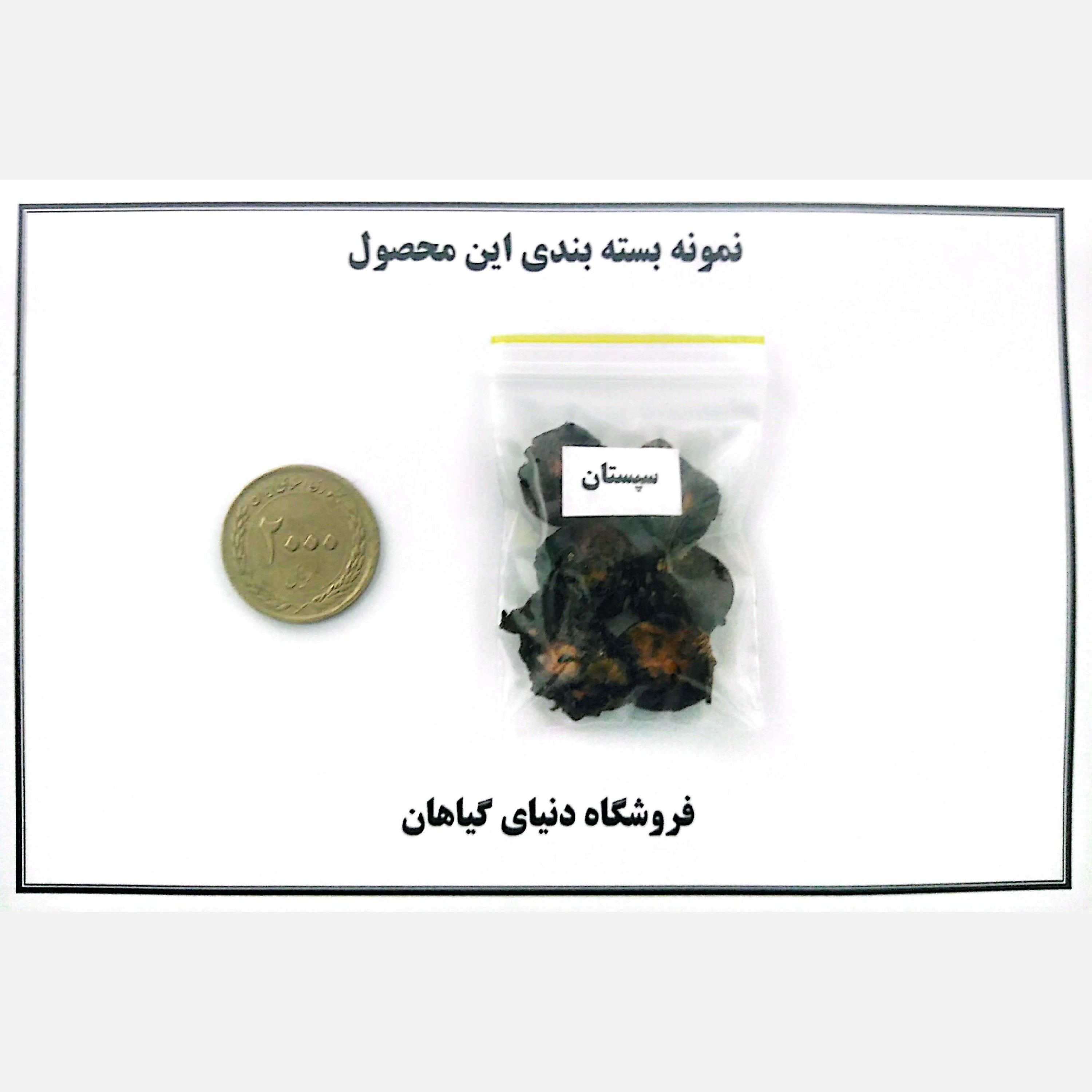 بذر سپستان (5 عدد)