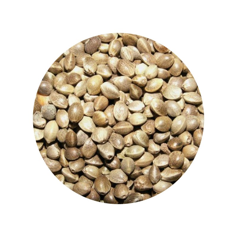 شاهدانه بیرجندی درجه یک 100گرمی ارگانیک 5ستاره