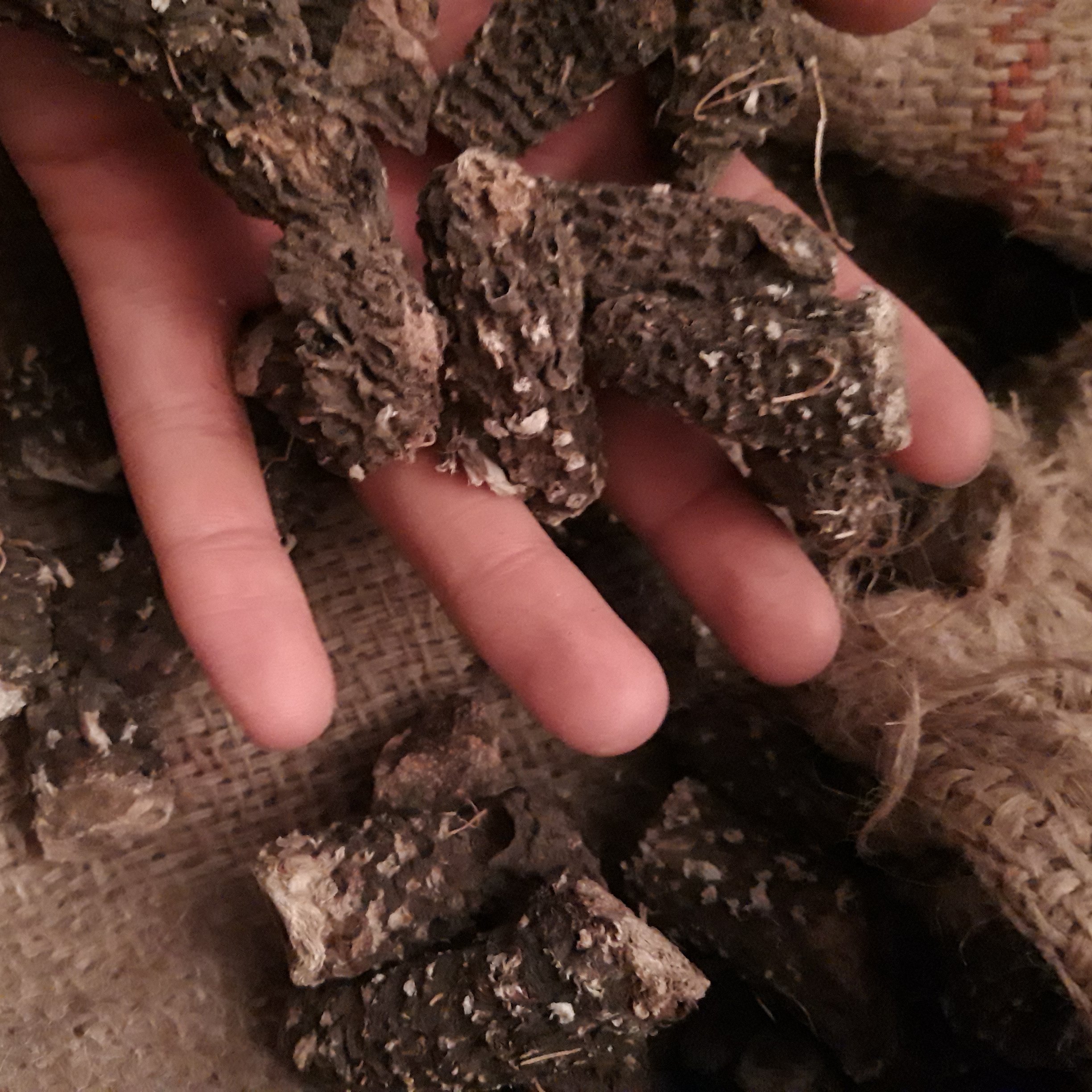 روغن کندش خالص - (120 سی سی) روغن کندوش اصل