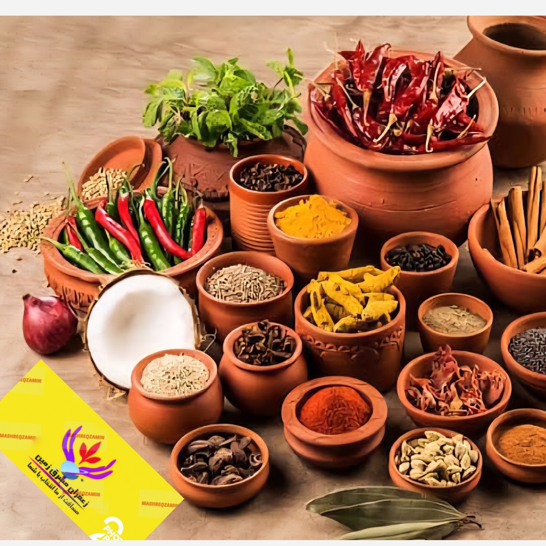 ادویه مرغ و ماهی اعلا 100 گرم برند مشرق زمین