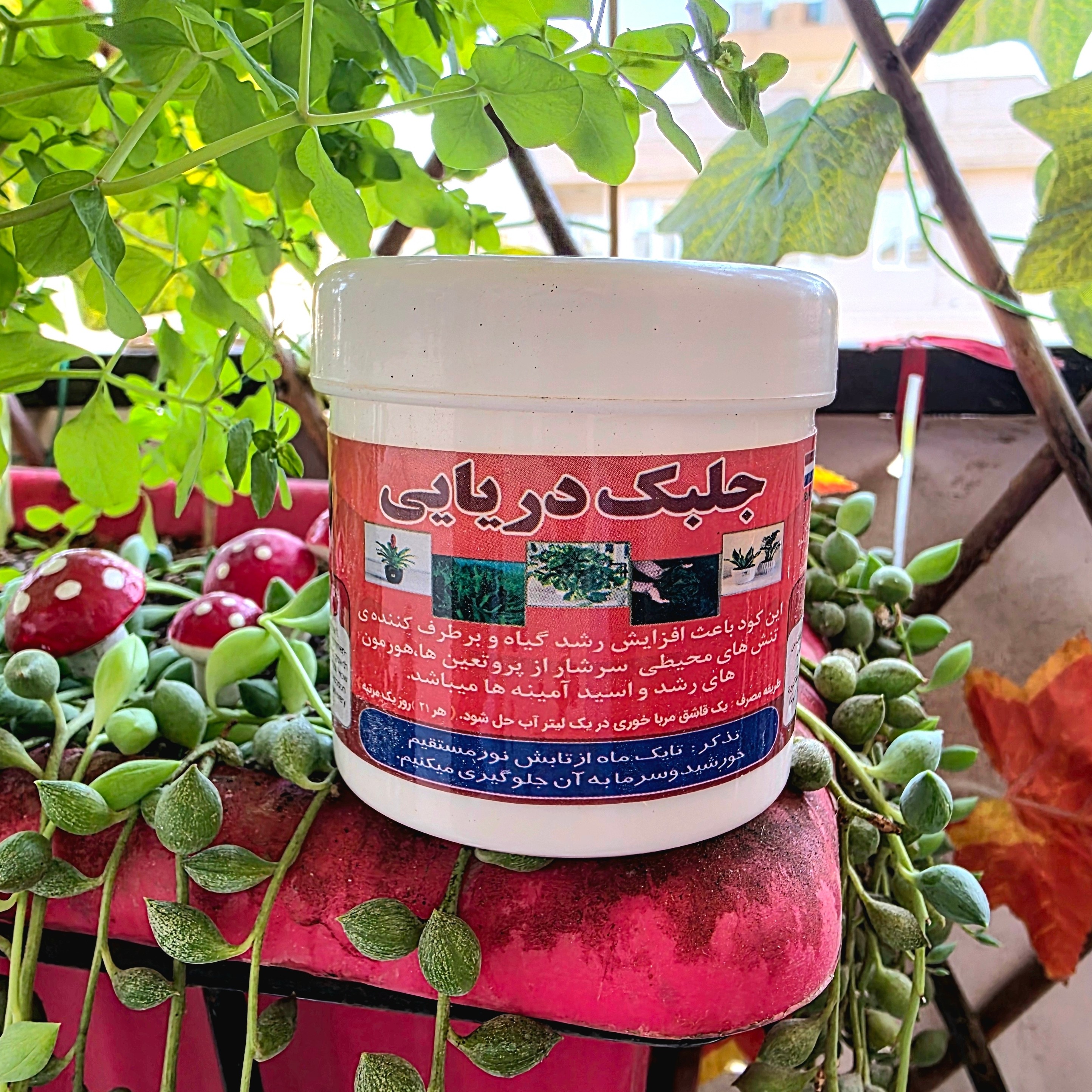 کود جلبک دریایی پودری . درجه یک. مگنولیا