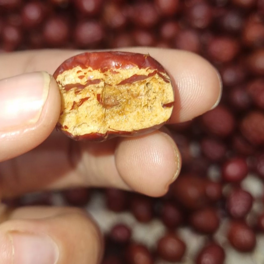 عناب تازه و نرم و گوشتی(یک کیلویی)