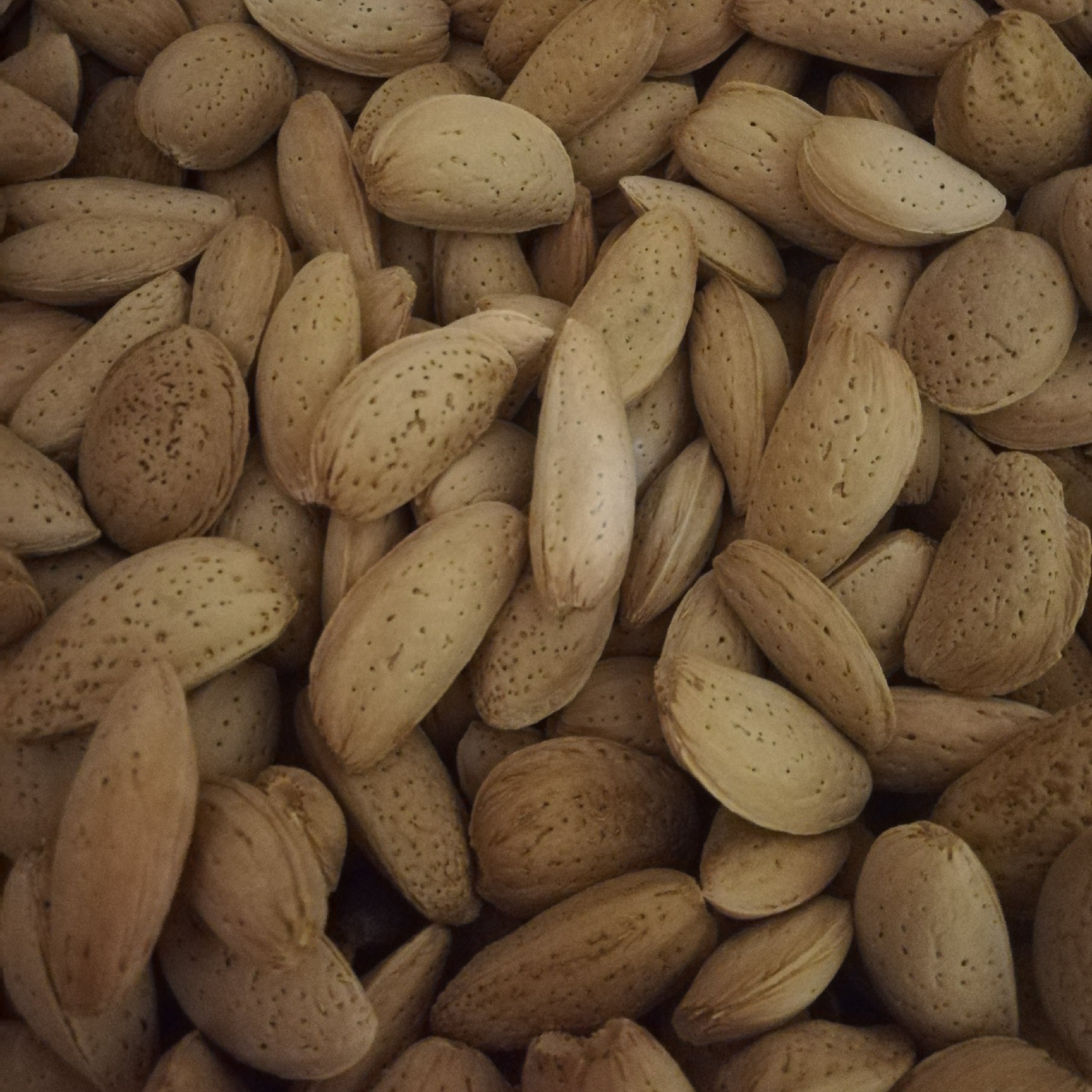 بادام سنگی سایز متوسط درجه یک (3کیلویی)(ارسال رایگان)