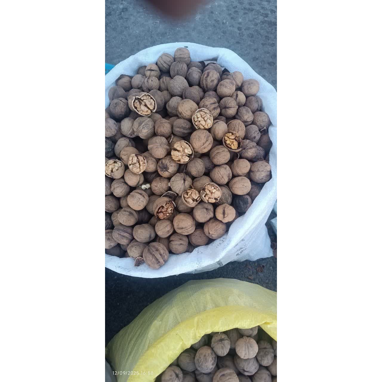 گردوی پوست کاغذی اعلای تویسرکان (تضمین کیفیت)